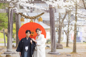 富山の寺家公園で桜と一緒に撮影する和装新郎新婦のロケーションフォトウェディング