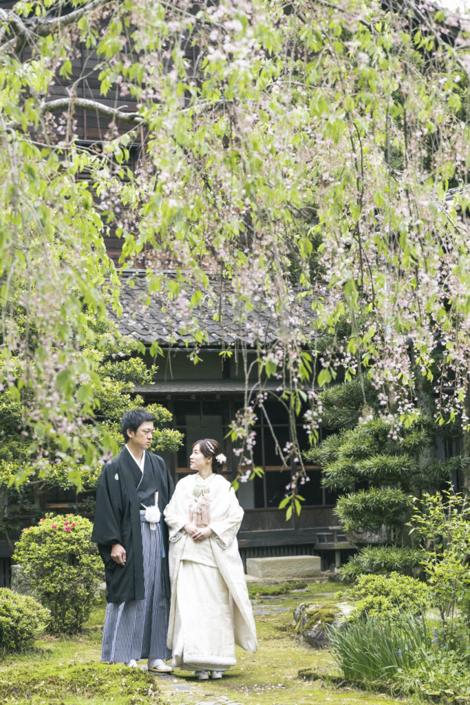 枝垂れ桜と和装