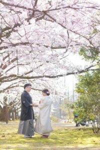 白無垢で桜と共に撮影する富山フォトウェディング