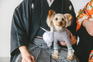 富山のフォトスタジオで撮影した和装姿の新郎新婦と愛犬達の仲睦まじいフォトウェディング
