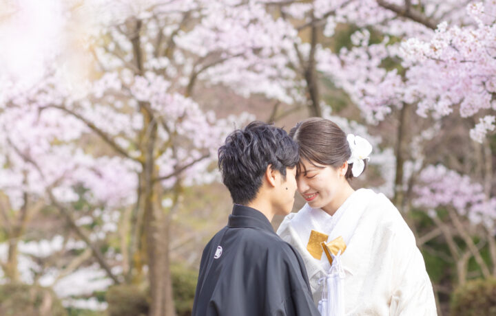 富山でフォトウェディング｜春の和装前撮りで桜と一緒に美しい瞬間を残す