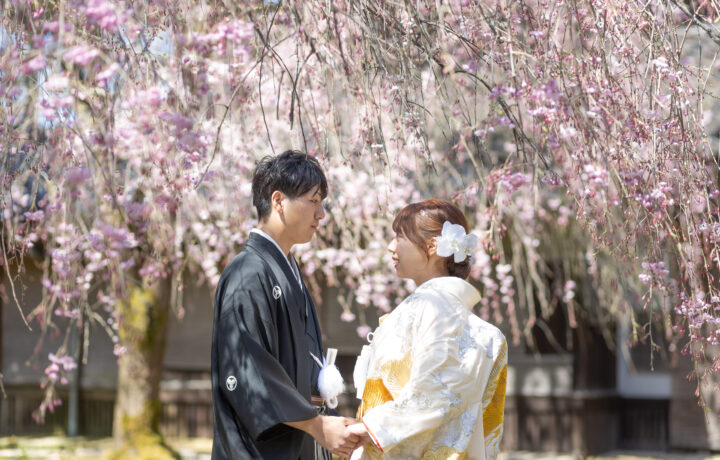 富山のフォトウェディング、桜と和装が美しい前撮り。内山邸で撮影した春の特別な瞬間