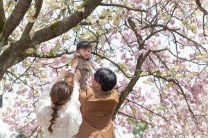 富山のコアラで桜と共に洋装フォトウェディングを行なったファミリーの様子